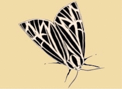 www.GIFCreator.me Xj41aZ
